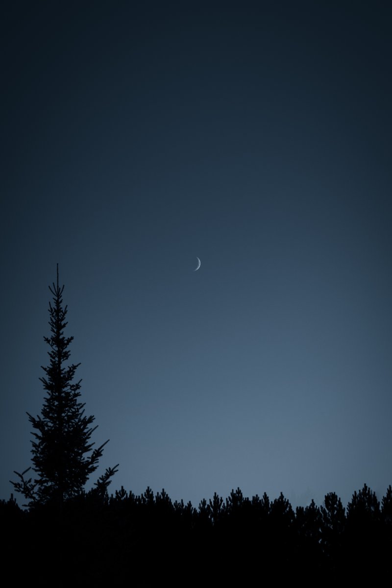 a quiet place