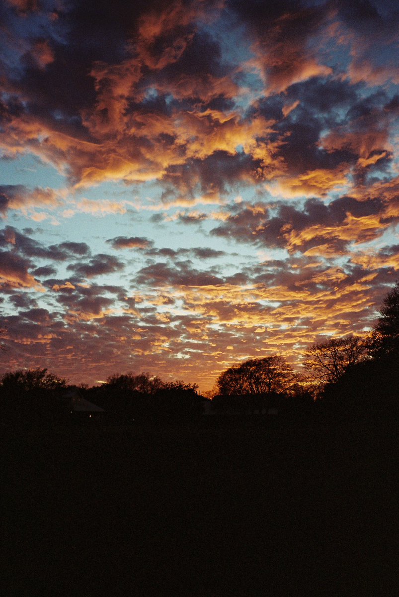 #contaxt2 #35mm #kodakportra400