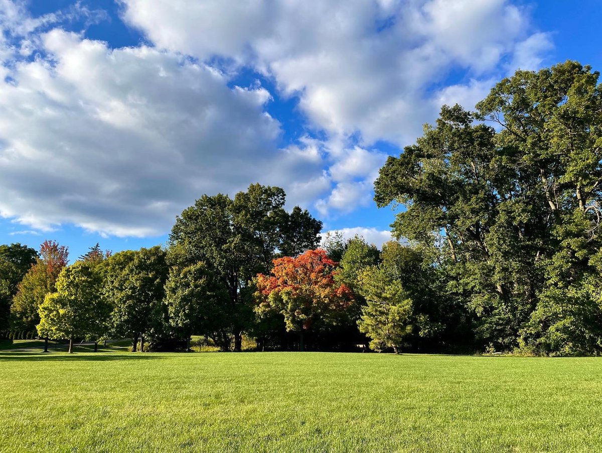 I love the fall running season. 😍🍁🍂

#puremichigan