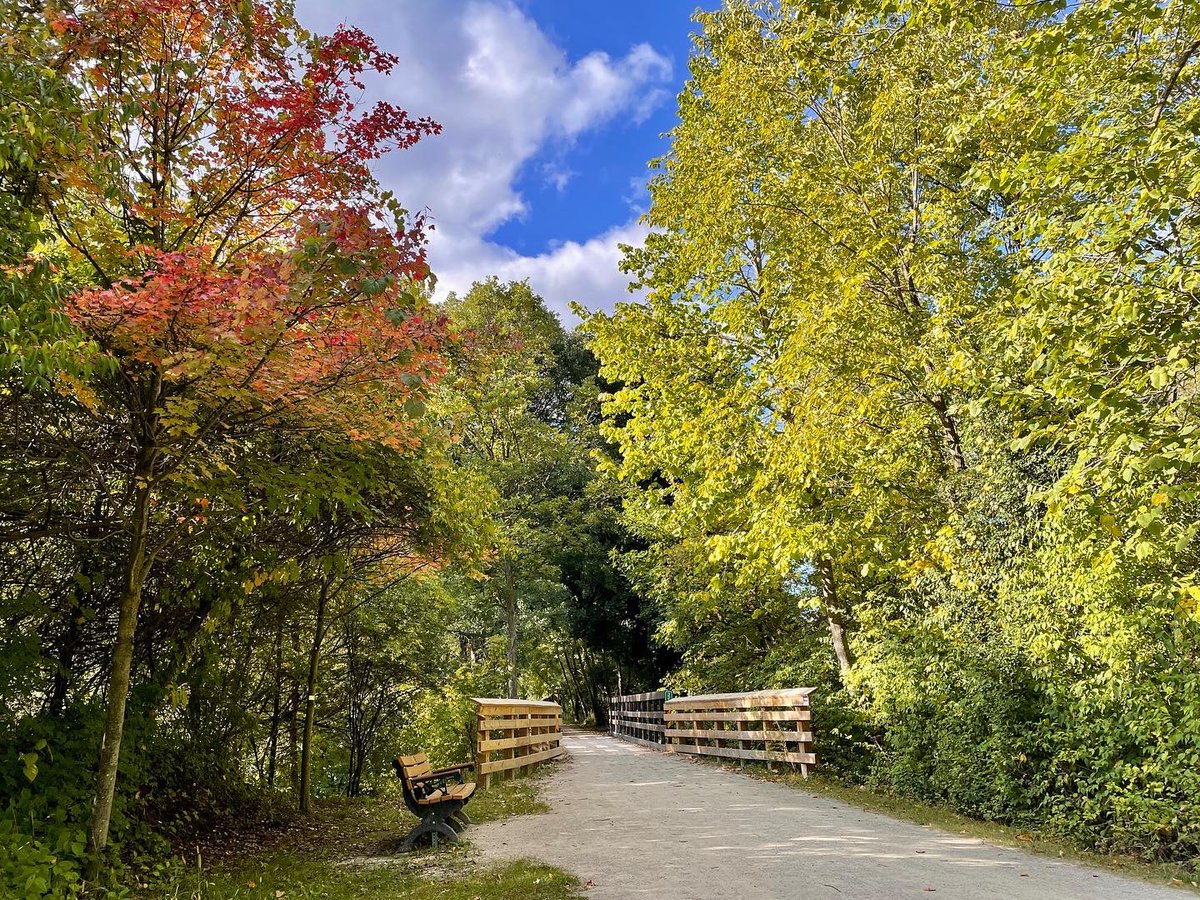 reidphotography's tweet photo. I love the fall running season. 😍🍁🍂

#puremichigan https://t.co/HwUwJF4zJv
