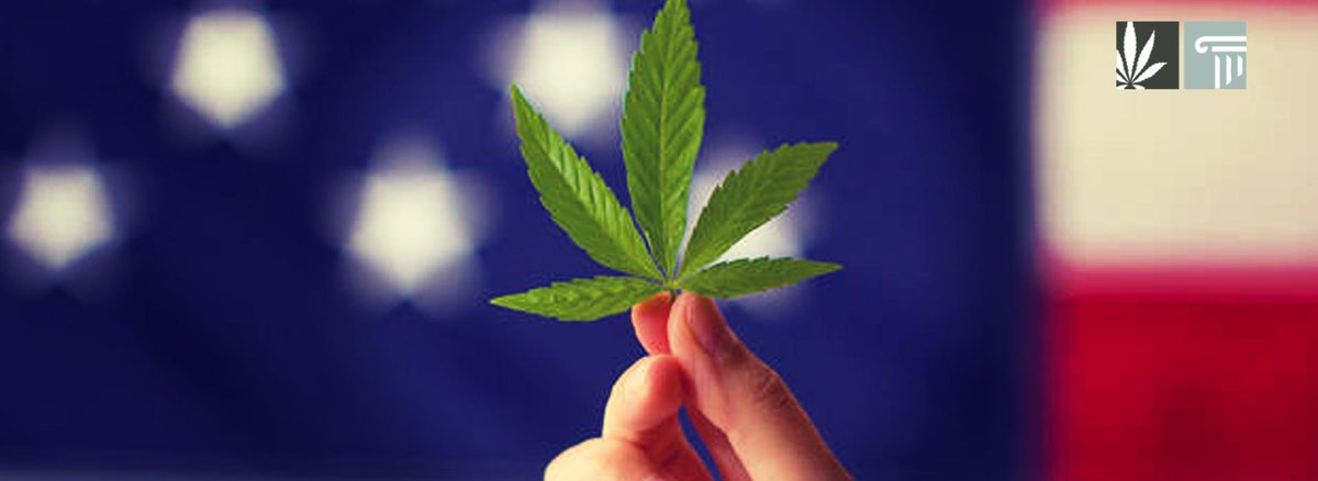 Voters in five states will decide on a marijuana legalization question at upcoming ballots. Here’s a roundup of those states and what they will vote on.

zpr.io/a7DQNywwL4gb