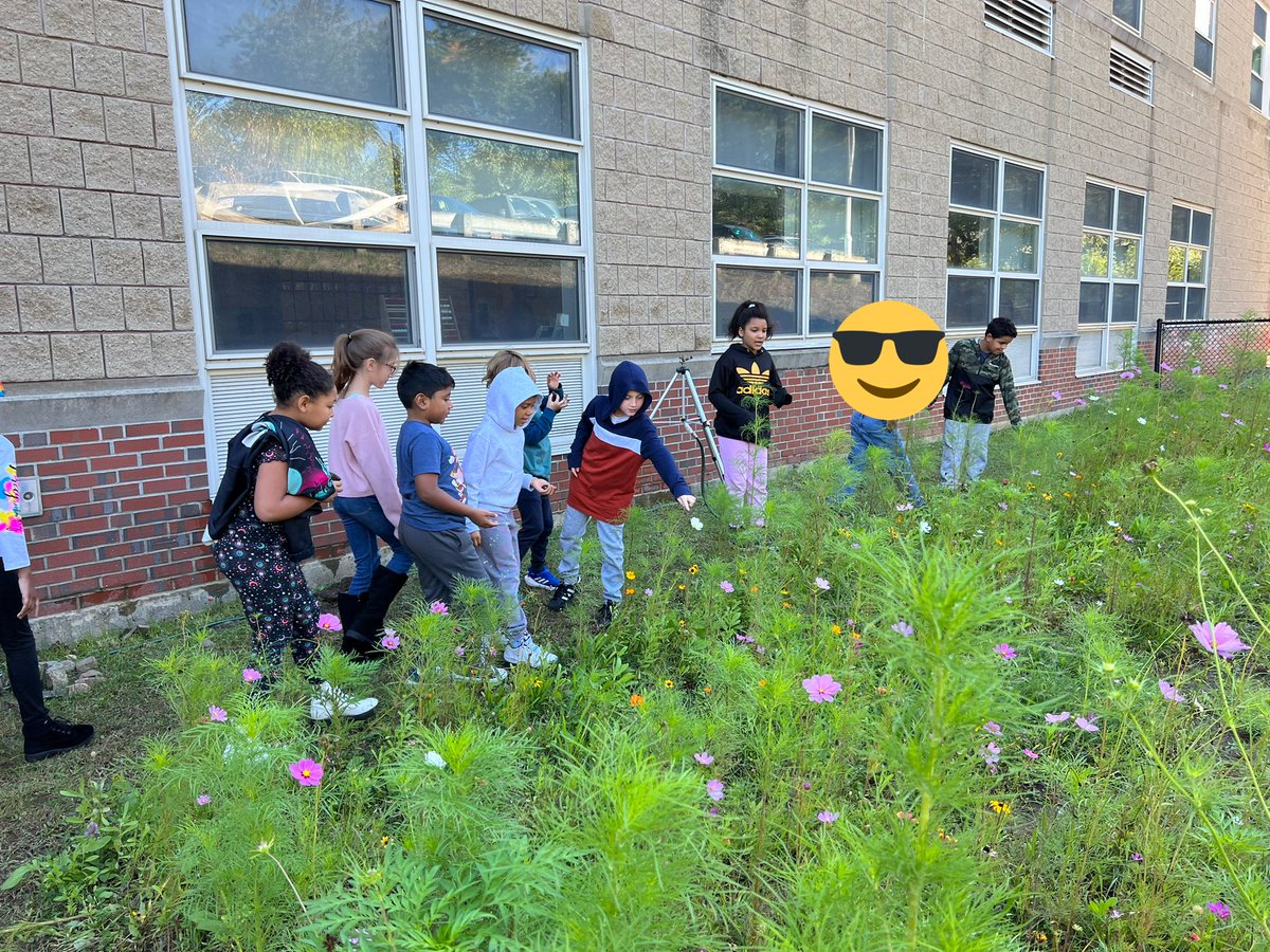 MrsPeterson3rd's tweet photo. We got to explore the Bates #garden today and learn a little bit about how and why we plant certain things there. We also got to harvest some vegetables and herbs that were ready! #3rdgrade #science @sps_bates @SalemSchoolsk12 https://t.co/jW9EqshCQG