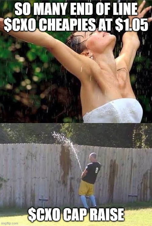 Nick Fabrio tweet media