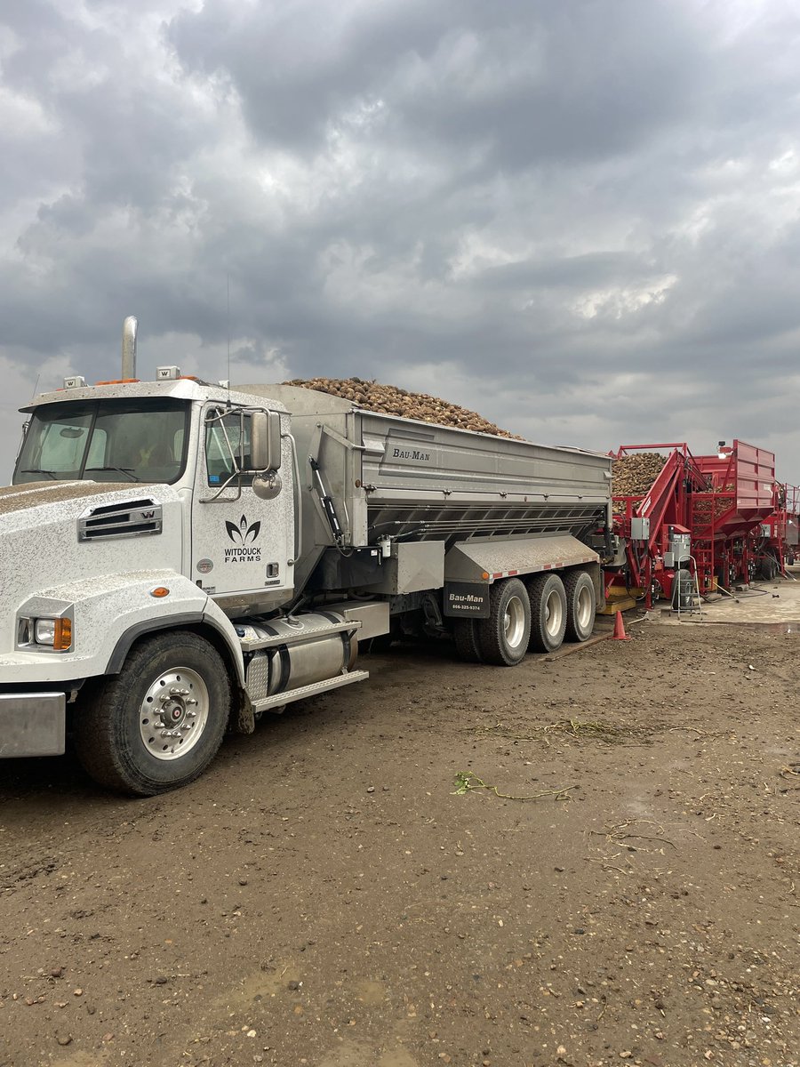 Dale witdouck 🇨🇦 tweet media