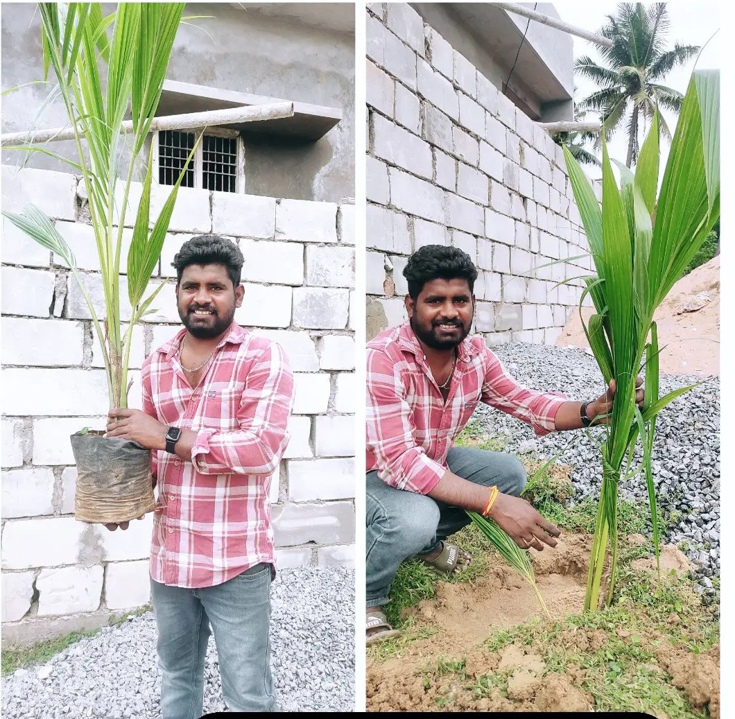 regala_raju's tweet photo. Another day another one 🌲🌲🌲 @wewantgreen @APWeatherman96 @Iamumaa @Im_chettu @ayo_naega_nugu @MPsantoshtrs @AndhraPradeshCM 
#Nature
#environment 
#SaveSoil https://t.co/kBggtrHhs4