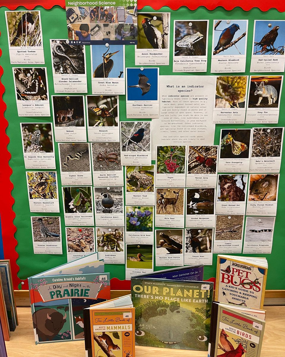 BaldwinHills's tweet photo. Join the last few days of the #LABioBlitz challenge to upload photos of nature from your own backyard! https://t.co/60b4bv3NZY
AND #GetLibraryCarded ☀️
#CheckOutCAStateParks with the #BestCardinLA during #LibraryCardSignUpMonth! https://t.co/Q1diDHNeTo