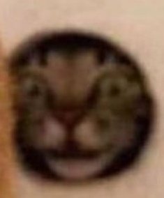BriBriKangs93's tweet photo. Mood for the night https://t.co/nb09i5Xj37