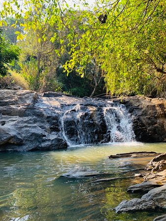 Good Morning Everyone🌺🙏 Suprabhat🥰 #nature #Waterfall #FridayVibes #positivity