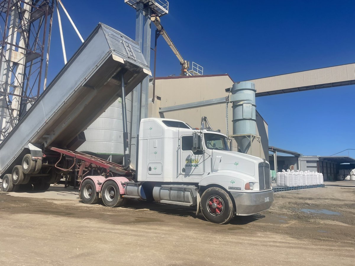 Annabel Mactier tweet media