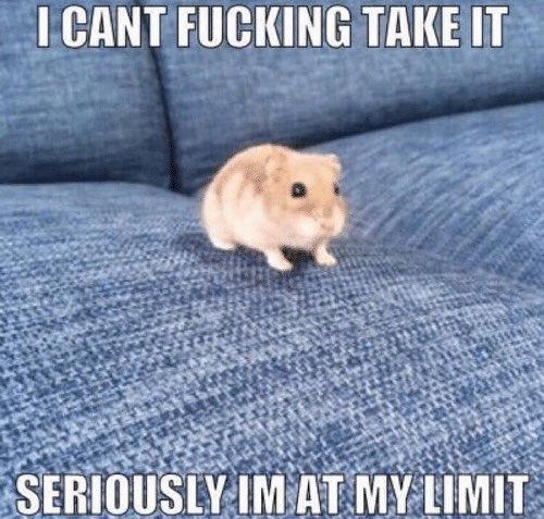 Chris Pine calling Florence Pugh a &ldquo;good girl&rdquo; https://t.co/MOzvxO26uu