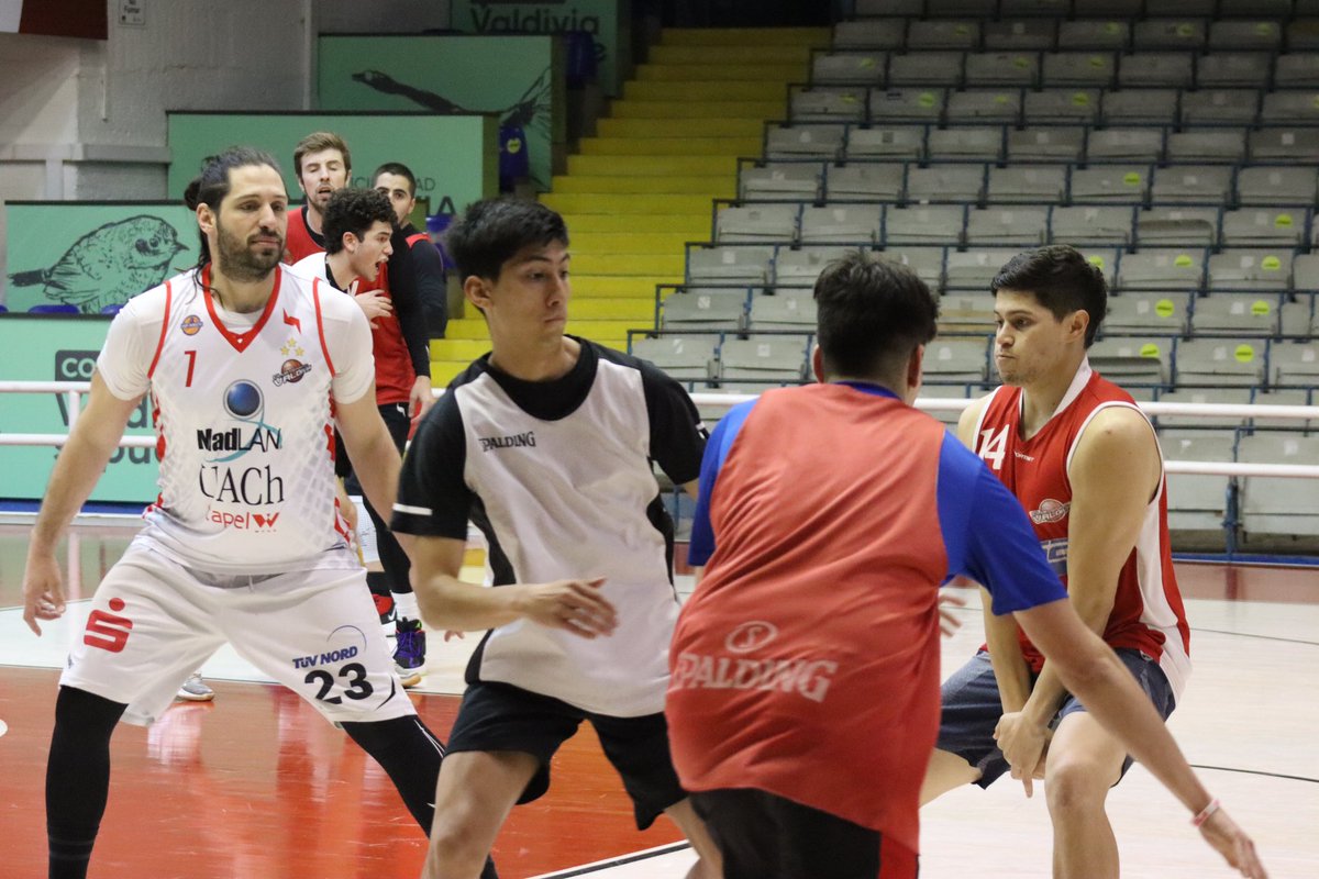 CDVBasket's tweet image. 🔴 | ¡DE VUELTA EN LA CATEDRAL!

🔥 Nuestro equipo continúa con los intensos entrenamientos en la previa del encuentro por Copa Chile Mundo, frente al CD Pablo Neruda, este sábado a las 18:00 hrs en “La Catedral” del básquet.

#VamosCDV 💪🏀 #CopaChileMundo #ElEquipoDeTodos