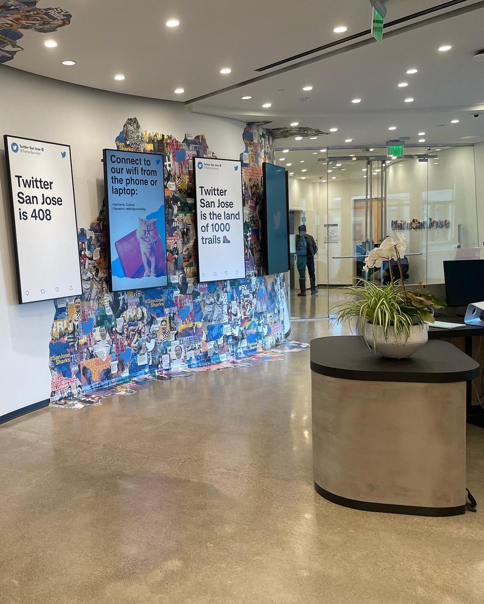 c0lee27's tweet photo. It was fun checking out the San Jose office today 🤗 felt like an “adult” again https://t.co/UooDYgidMC