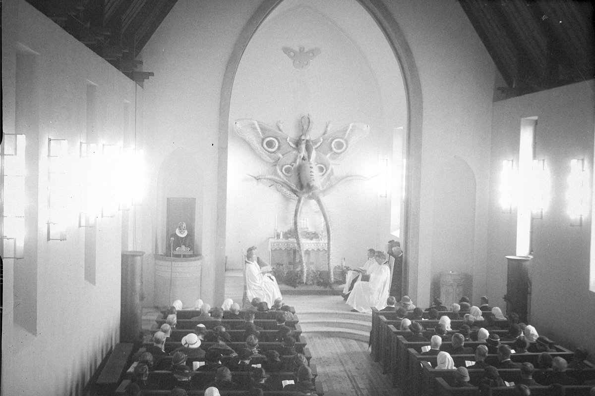 Sixtus Sextus (away… bye…) tweet media