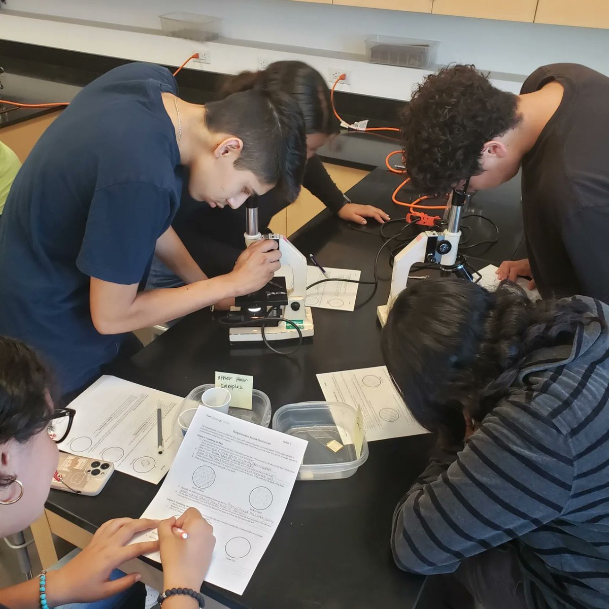 hellomsyang's tweet photo. Integumentary system lab~ what's under your skin? #TCELL @ChaffeyHSTigers #funinthelab https://t.co/8r6P9ShEcC