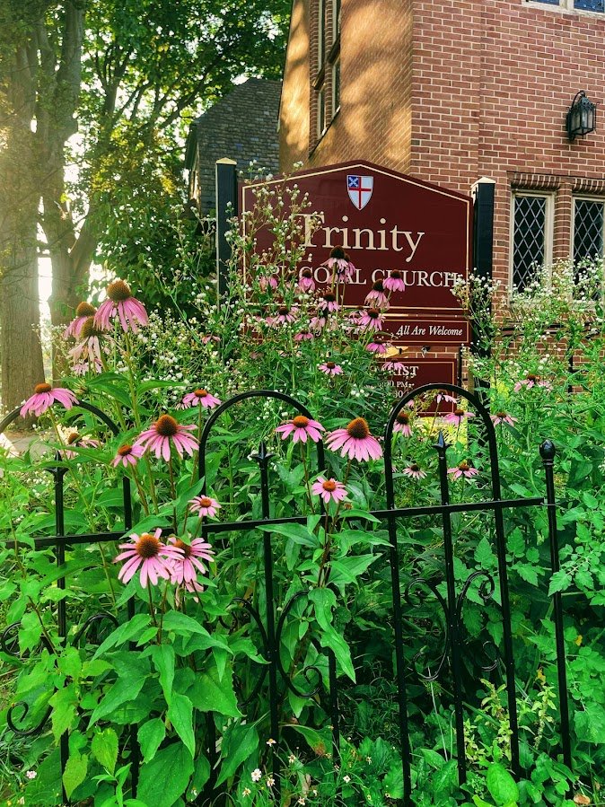 Trinity (@TECBinPA) / Posts / X