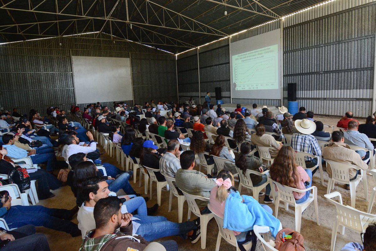 División de Ciencias Agropecuarias e Ingenierías tweet media