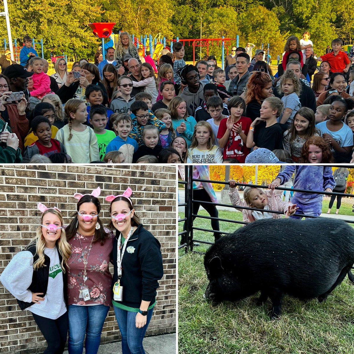 Mrs. Raudenbush tweet media