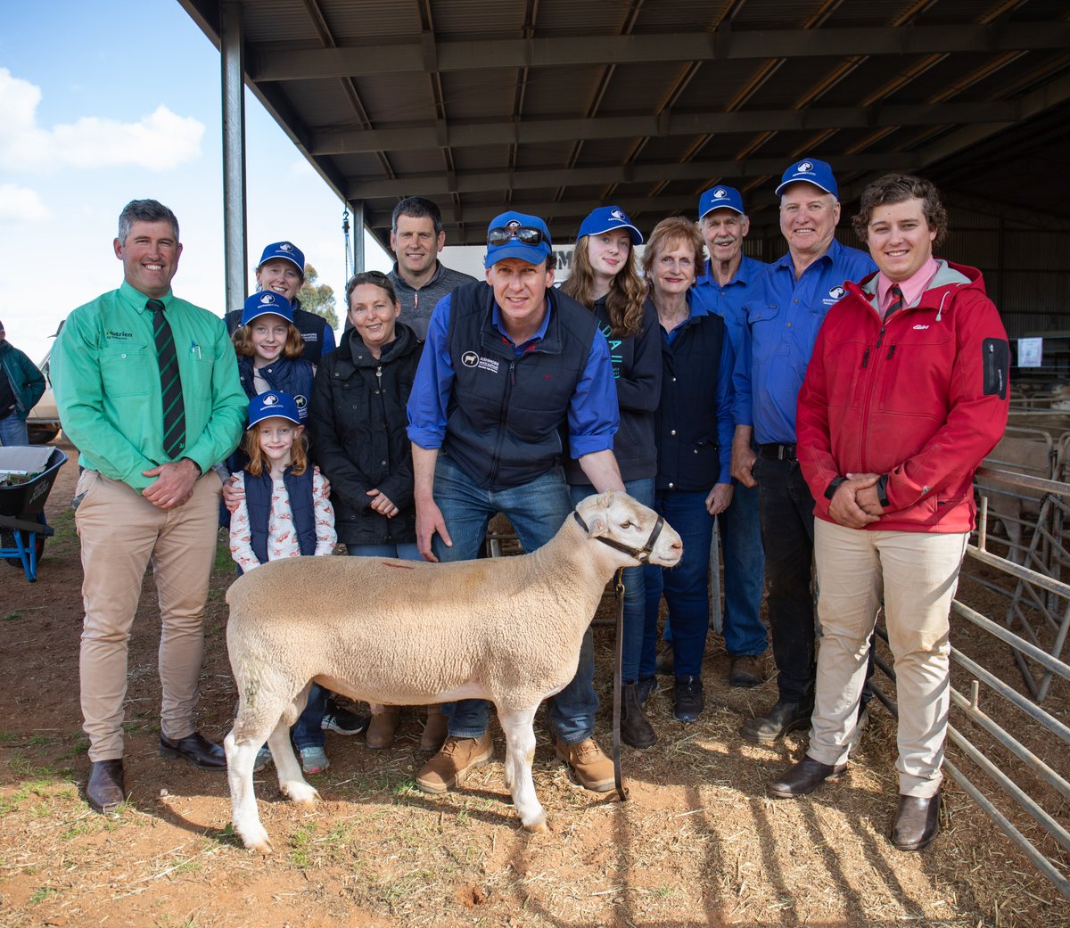 ashmorews's tweet photo. Thank you to all who supported our 30th Annual On Property Ram Sale! We offered 11 stud rams selling to a top of $20,000 at Lot 11 purchased by Fingerpost White Suffolks. 
11/11 stud rams sold av. $6,045. A further 144 flock rams sold av. $1,541. https://t.co/I0orkgdN3p