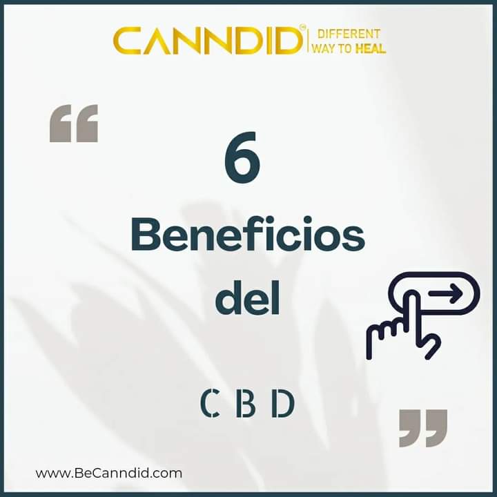 CanndidM's tweet photo. 🍃 👨🏻‍⚕️👩🏻‍⚕️Descubre solo algunos de los tantos beneficios del #CBD #cbdoil #canndid #cannabis #expoweed #weed https://t.co/cSI10UE0u4