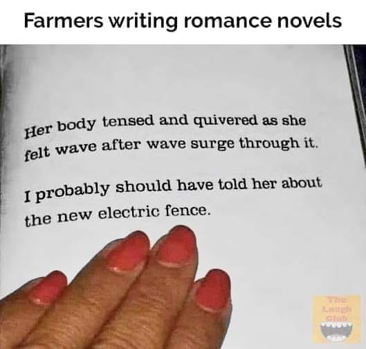 Grey Shannon’s pics and videos