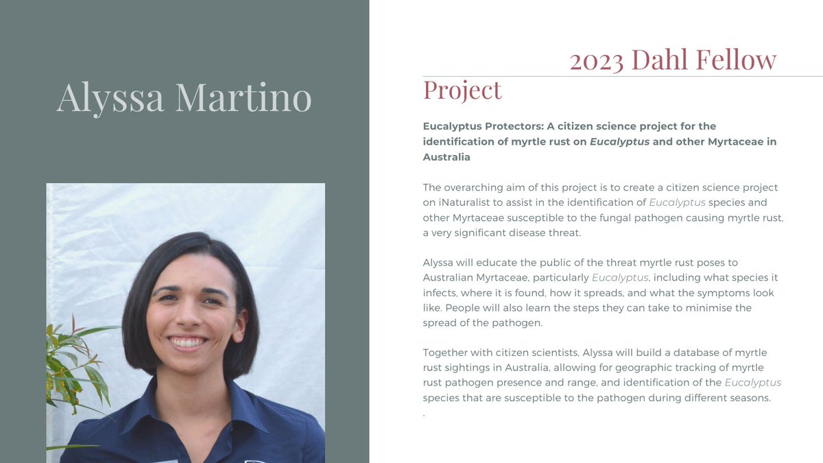 EucalyptAus's tweet photo. The Board of Eucalypt Australia is delighted to announce the 2023 #DahlFellowships.
🌿Dr Elizabeth Edmonds (@LizJEdmonds)
🌿@_Alyssa_Martino
🌿Brett Mifsud
Congratulations to the 2023 Dahl Fellows 👏👏
Read about their projects 👇 
#eucalypts #ozplants https://t.co/dj0xDftZpI