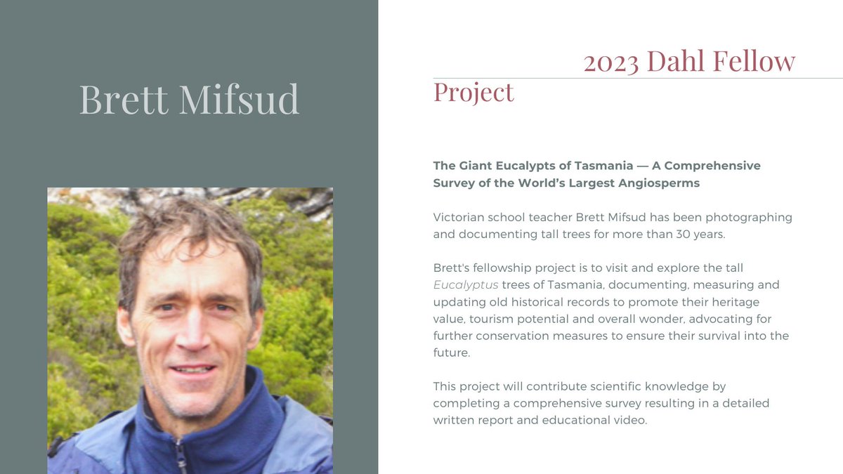 EucalyptAus's tweet photo. The Board of Eucalypt Australia is delighted to announce the 2023 #DahlFellowships.
🌿Dr Elizabeth Edmonds (@LizJEdmonds)
🌿@_Alyssa_Martino
🌿Brett Mifsud
Congratulations to the 2023 Dahl Fellows 👏👏
Read about their projects 👇 
#eucalypts #ozplants https://t.co/dj0xDftZpI