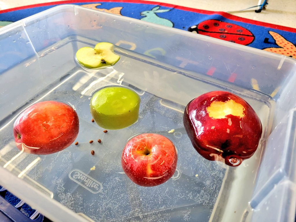 Experiencing science 1st hand ✋️🌟🍎 Do apples sink or float??? How about if we take a bite?👄 What about the seeds? 🧐 We discovered ALL the answers today in the best way possible 💚 #GreenvilleES <a href="/KNicholson91016/">Katie Nicholson</a> <a href="/FCPS1Science/">FCPS1 Science</a> <a href="/GreenvilleES/">Greenville ES</a>  #GRSKinderRocks <a href="/DrJeck/">David Jeck</a>
