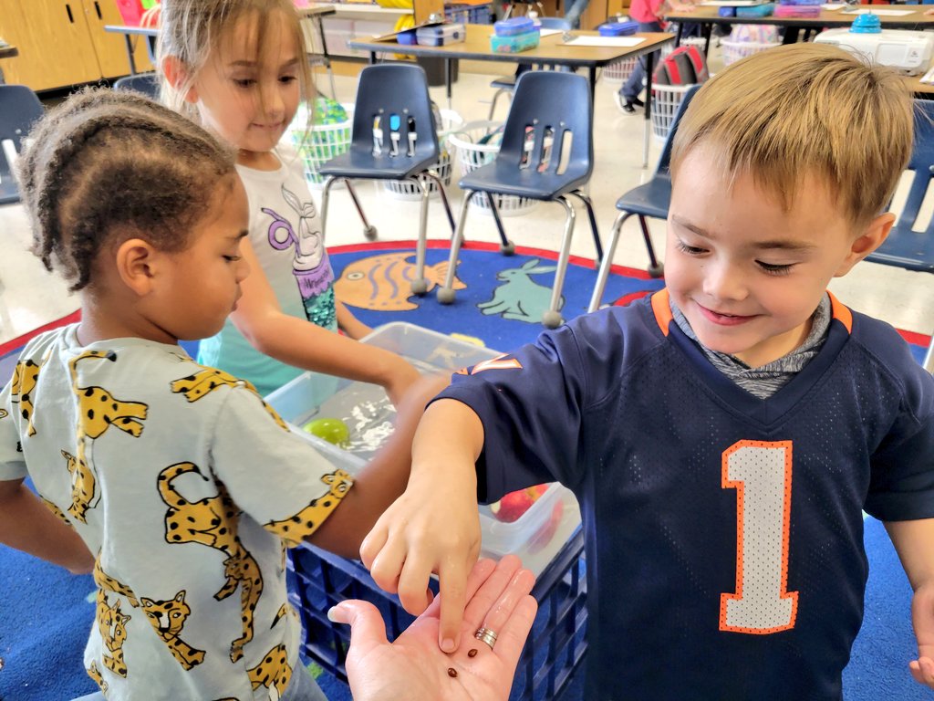 KaitReder's tweet photo. Experiencing science 1st hand ✋️🌟🍎 Do apples sink or float??? How about if we take a bite?👄 What about the seeds? 🧐 We discovered ALL the answers today in the best way possible 💚 #GreenvilleES @KNicholson91016 @FCPS1Science @GreenvilleES  #GRSKinderRocks @DrJeck https://t.co/WMDJcMDOGR