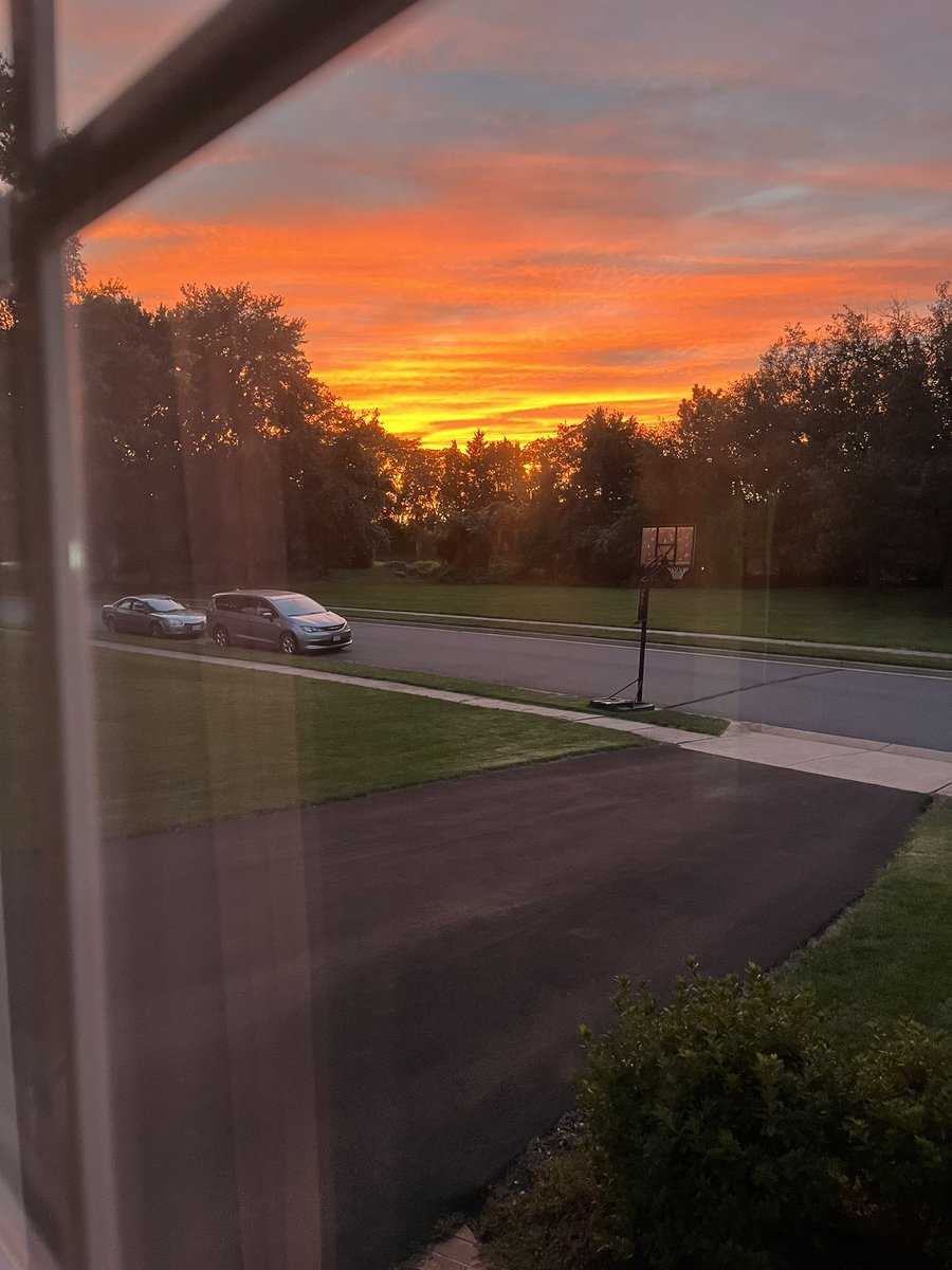 Carol Francis tweet media