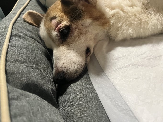 おはようございます。 