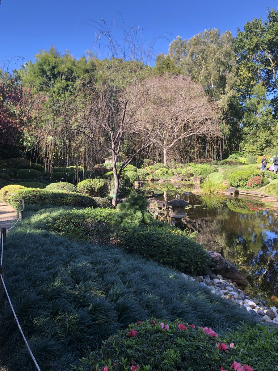 Vivystravels's tweet photo. Beautiful day out and enjoying these views on a recent travel. I love 💕 coming here 🪴🌱🌸🌺🌷🌻🌼
#garden #walk #mtcootha #botanicgardens #brisbane #queensland #qld https://t.co/0tj9RGGBVo