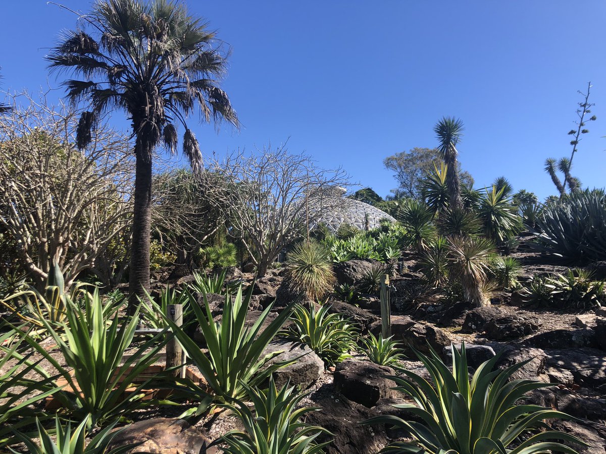 Vivystravels's tweet photo. Beautiful day out and enjoying these views on a recent travel. I love 💕 coming here 🪴🌱🌸🌺🌷🌻🌼
#garden #walk #mtcootha #botanicgardens #brisbane #queensland #qld https://t.co/0tj9RGGBVo