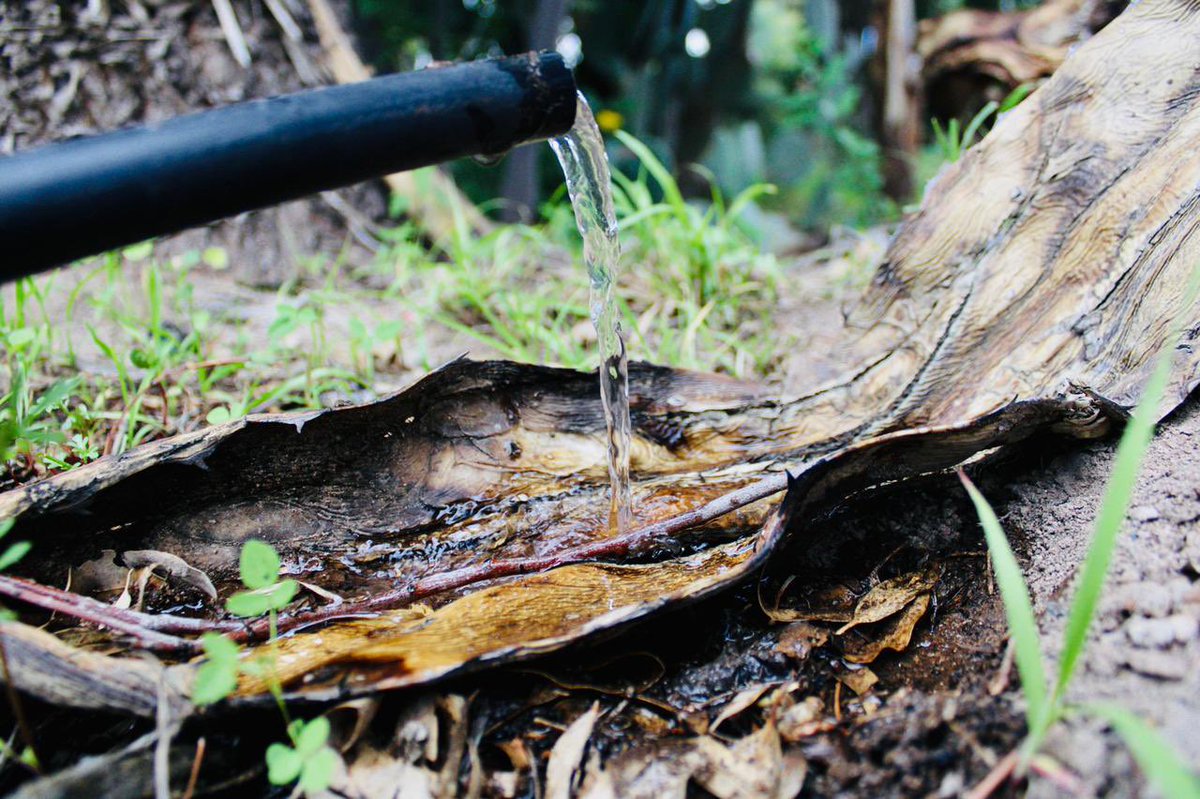 Veo estas fotografías y me llena de felicidad saber que estamos venciendo ese fantasma del pasado y que hoy muchos más Villareyenses, ya tienen agua en sus casas. 🏡 💧 

Gracias Lagunita de Pardo, hoy esos sueños ya se convirtieron en resultados.