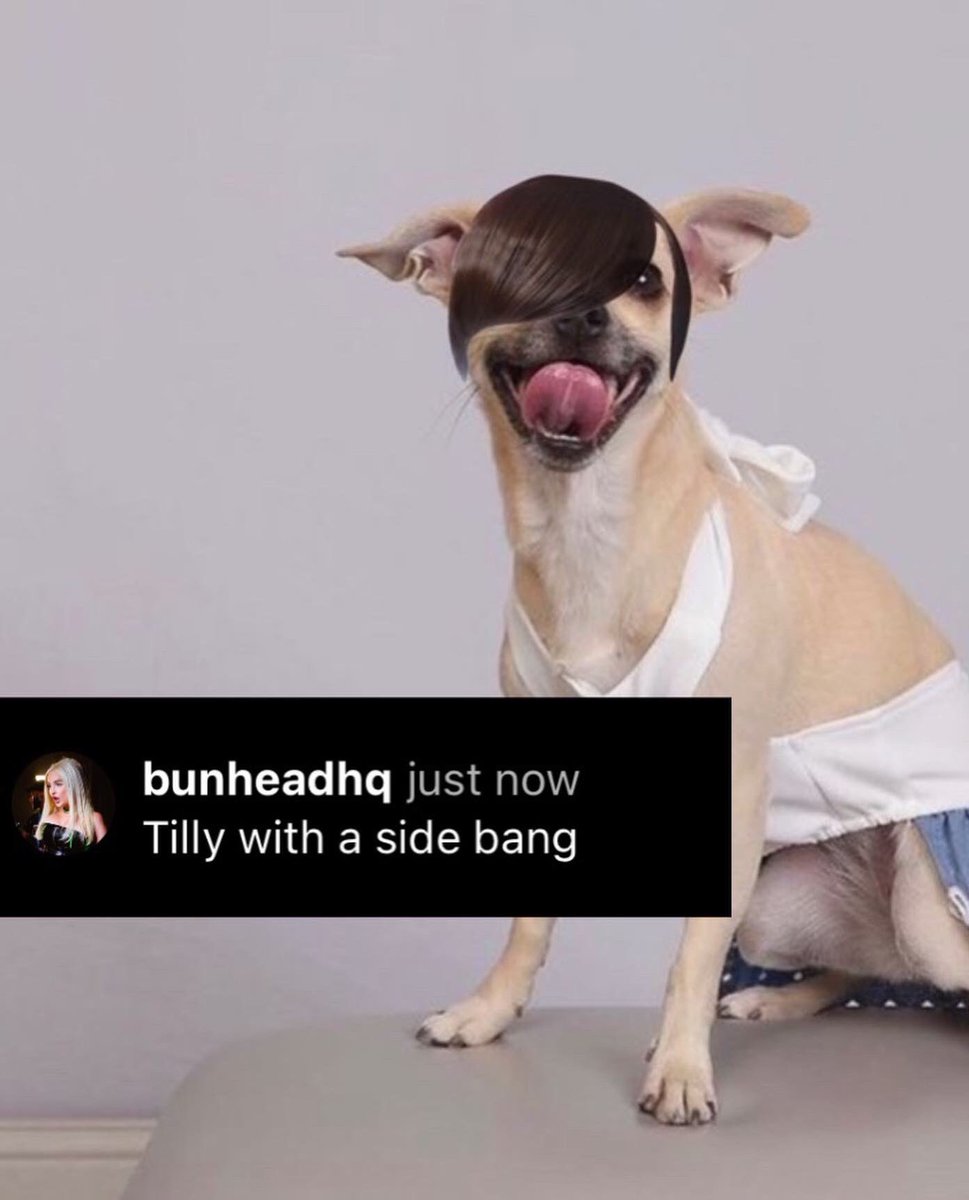 tnx <a href="/BunheadHQ/">BunheadHQ</a>