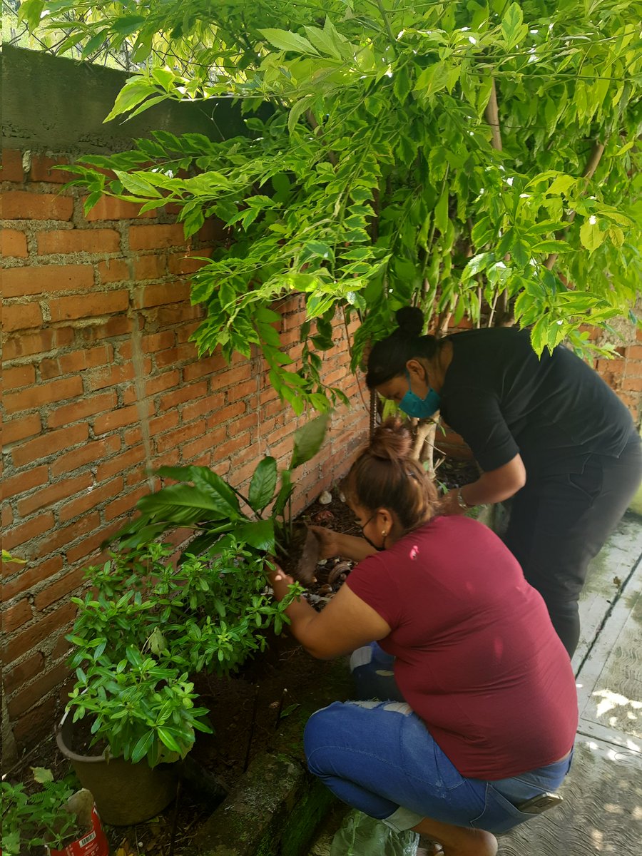 luzxoxo's tweet photo. #UnÁrbolUnAlumnoUnFuturo J.N. Alfonso Garcia Robles  Z.E. J218/09 Aquel que planta un árbol planta una esperanza... @TinocoGRogelio @Probosque_ @CampoEdomex https://t.co/OR2HoaSIr1