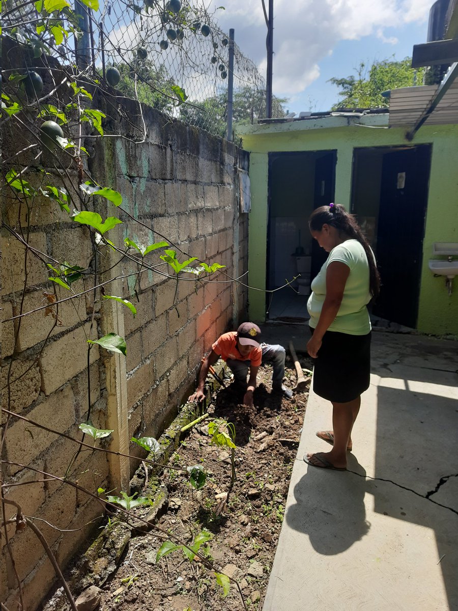 luzxoxo's tweet photo. #UnÁrbolUnAlumnoUnFuturo J.N. Alfonso Garcia Robles  Z.E. J218/09 Aquel que planta un árbol planta una esperanza... @TinocoGRogelio @Probosque_ @CampoEdomex https://t.co/OR2HoaSIr1