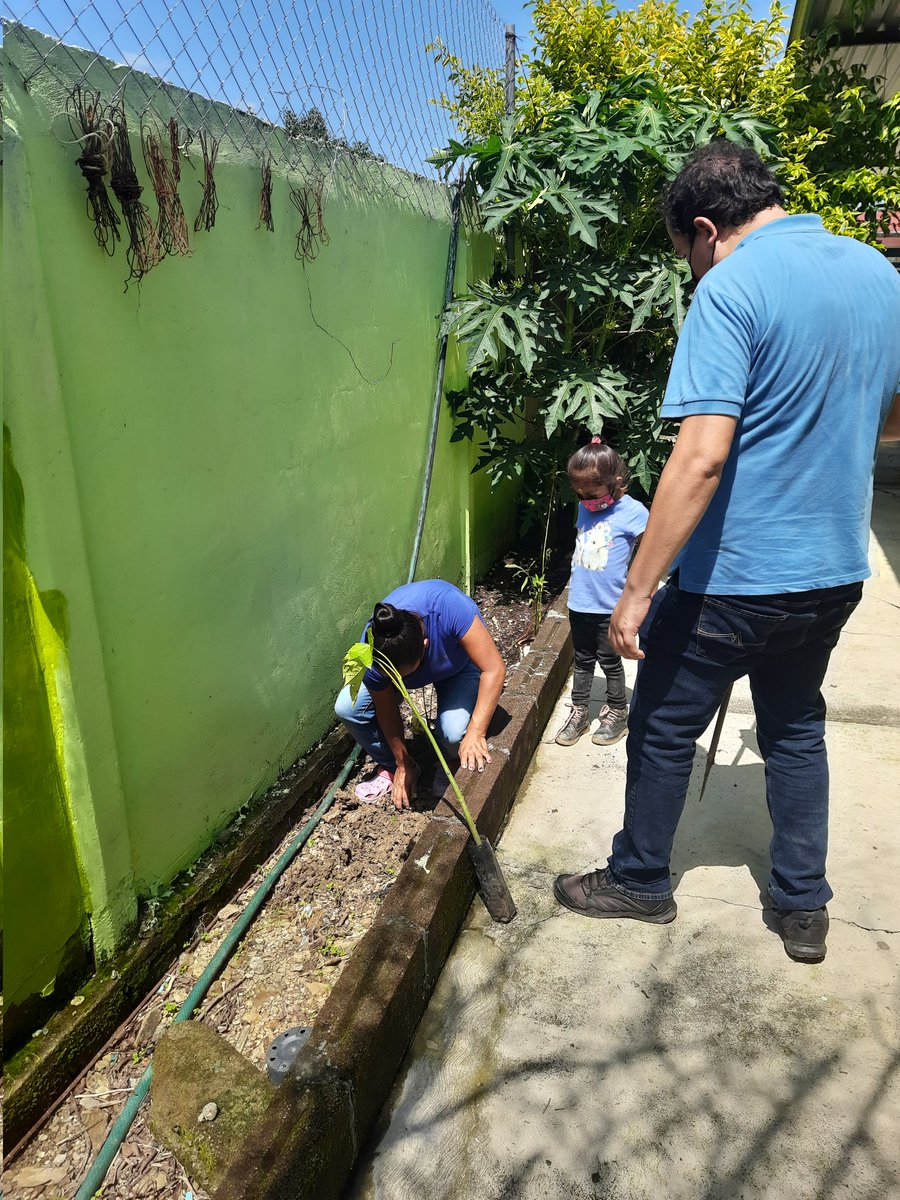 luzxoxo's tweet photo. #UnÁrbolUnAlumnoUnFuturo J.N. Alfonso Garcia Robles  Z.E. J218/09 Aquel que planta un árbol planta una esperanza... @TinocoGRogelio @Probosque_ @CampoEdomex https://t.co/OR2HoaSIr1