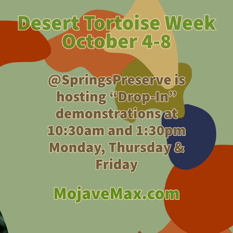 Mojave Max tweet media