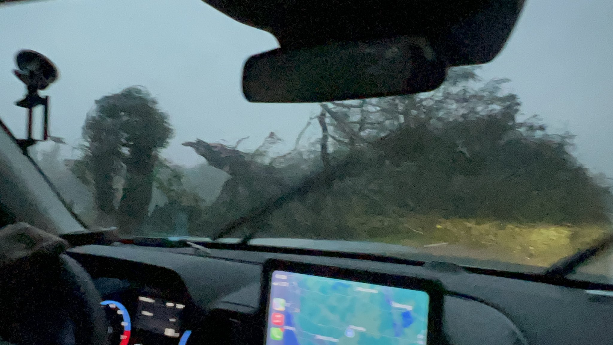 Mike Remaley on Twitter "Massive trees knocked over by the eastern