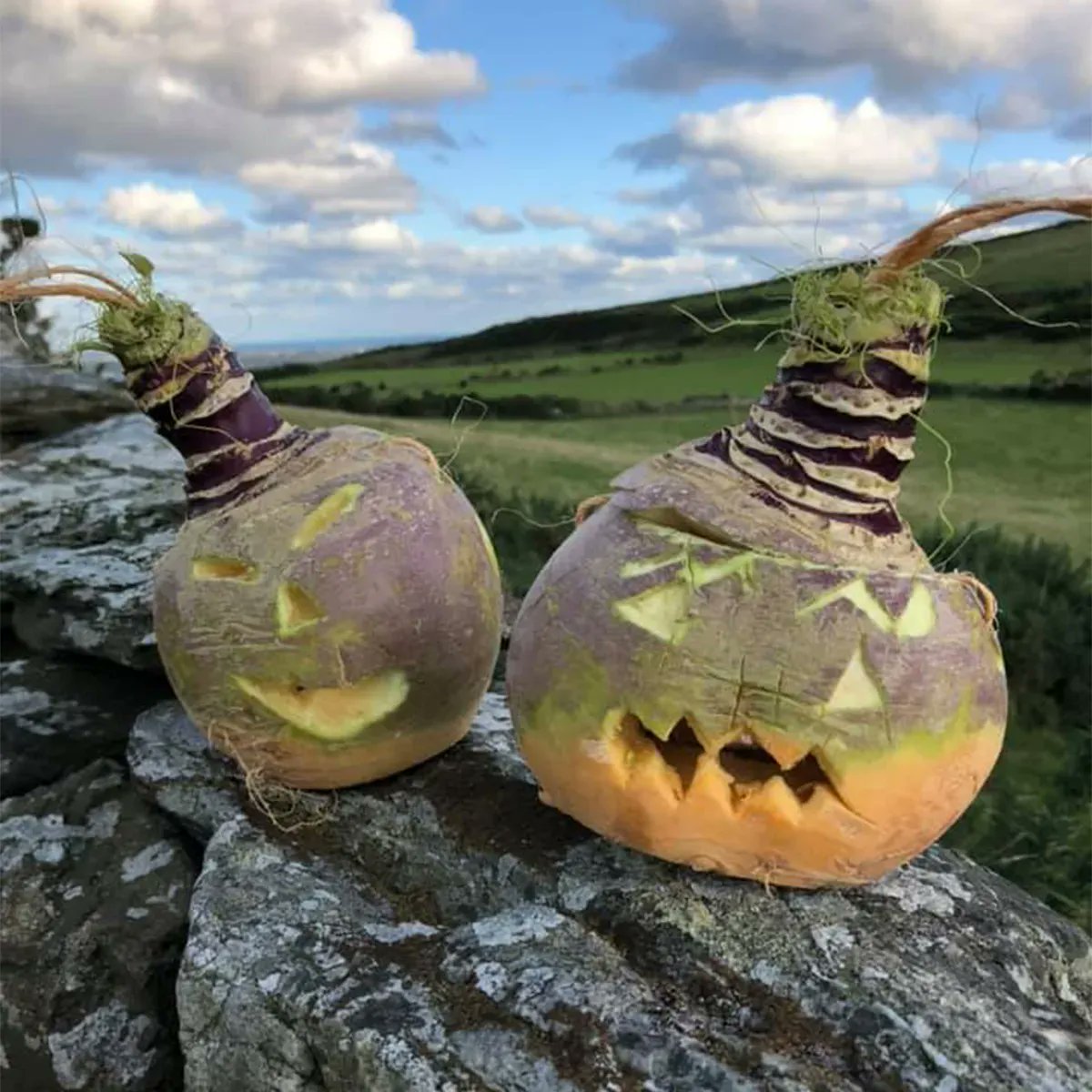 bruneauandco's tweet photo. #SpookyMonth is just around the corner so it's Becca's time to shine on the #BruneauBlog with some #artsy traditions 🎃 Go to https://t.co/TNAsOKMWlq to read it now! https://t.co/wVU8RMvc1s