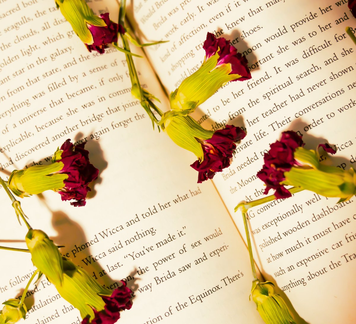info_davionne's tweet photo. #StillLife https://t.co/8XXsArHyyA