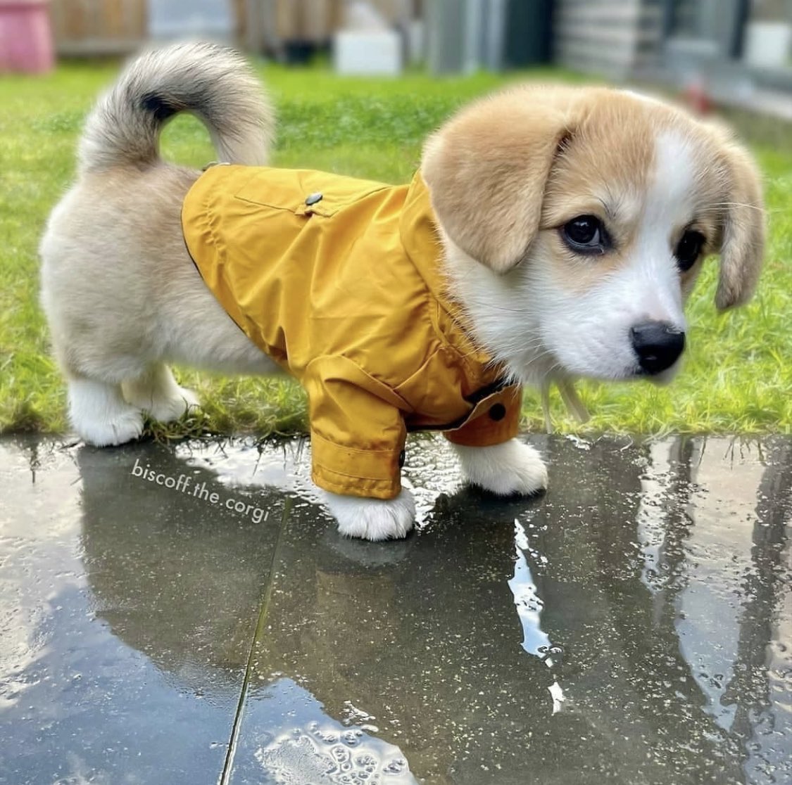 when u have a nice rain coat