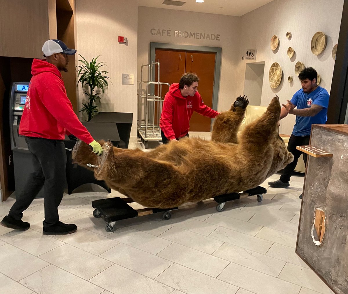 CynthiaGleason9's tweet photo. The bear has left the building. It’s been a great meeting!! #SON22 https://t.co/8lggXYqf7P