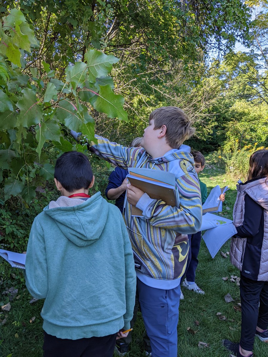 Outdoor classroom courtesy of Mother Nature. Photosynthesis in action. #WeAreDeerPath