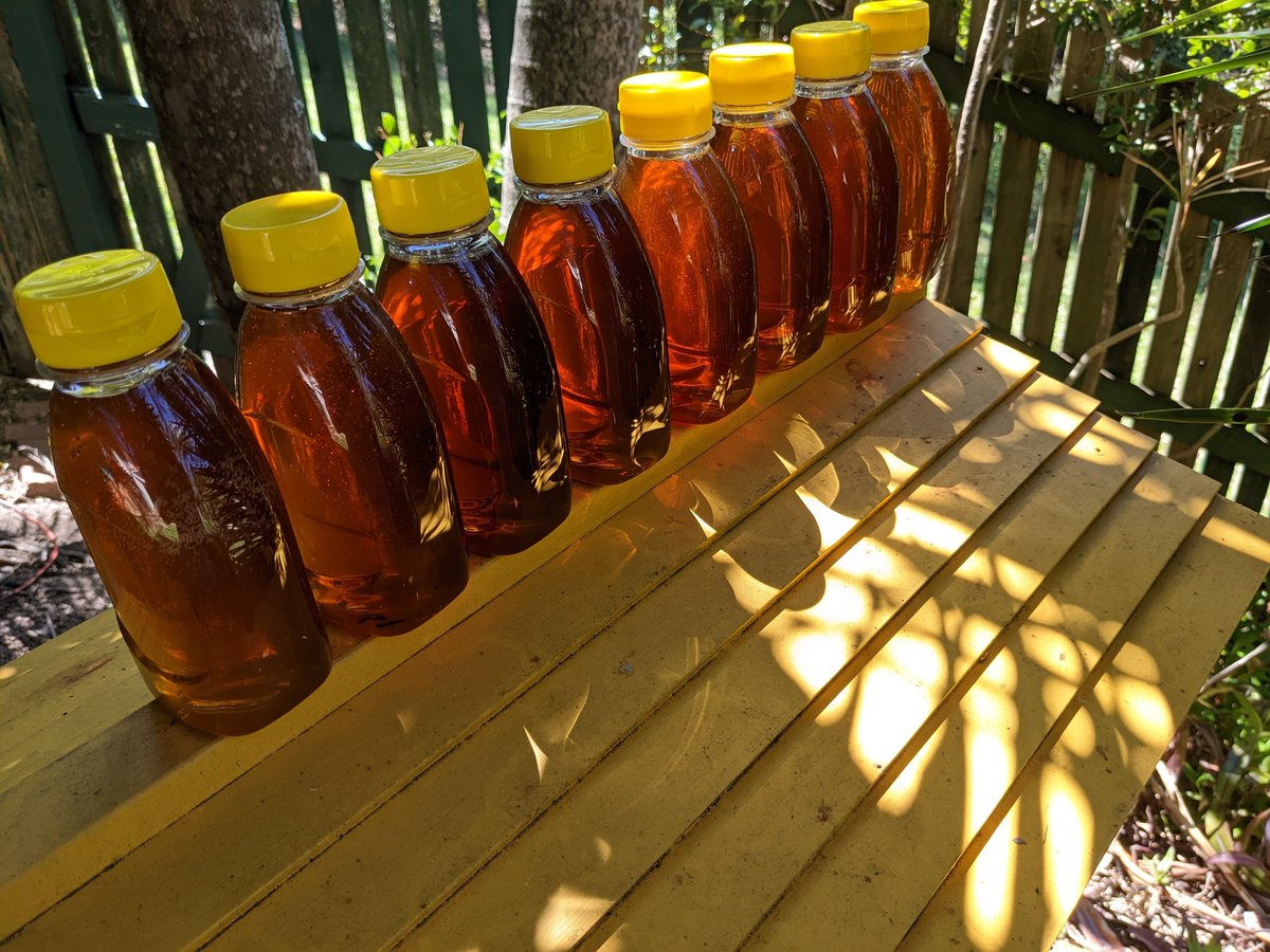 PollenFans's tweet photo. Yo, Brisbane. I will have honey for sale at the next #Bitcoin meetup. Bring your lightning ⚡ wallet 💪 https://t.co/8MVwPUD5oT
