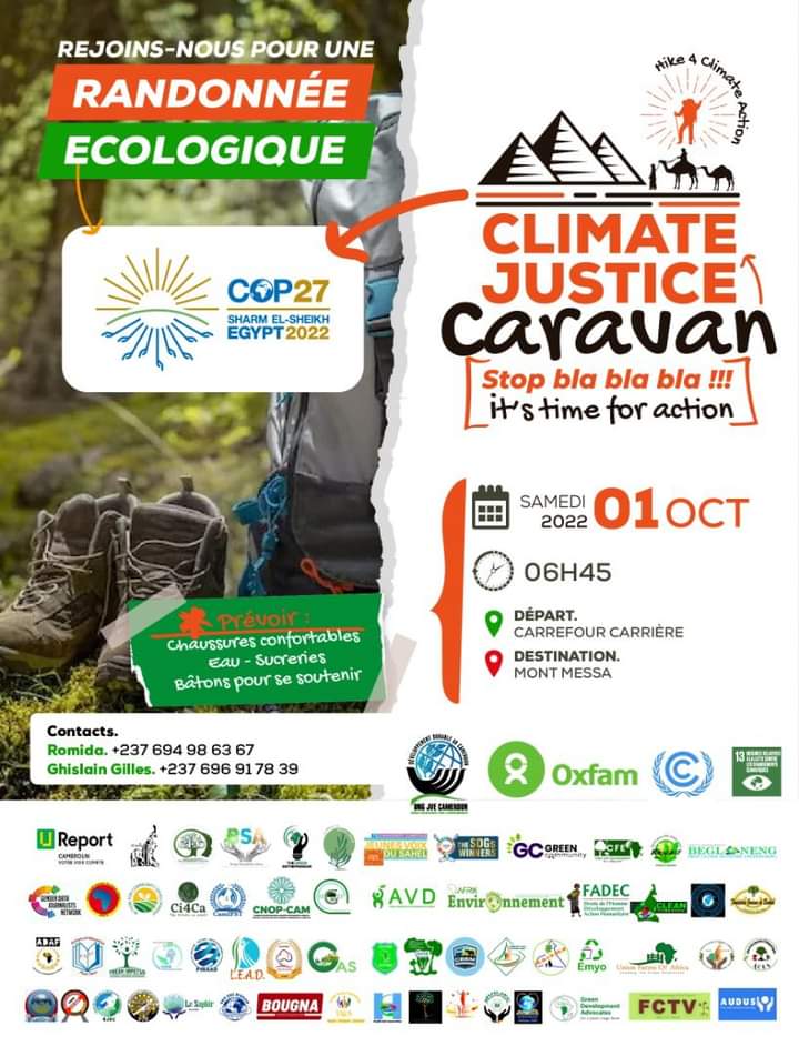 SEGEF Cameroun tweet media