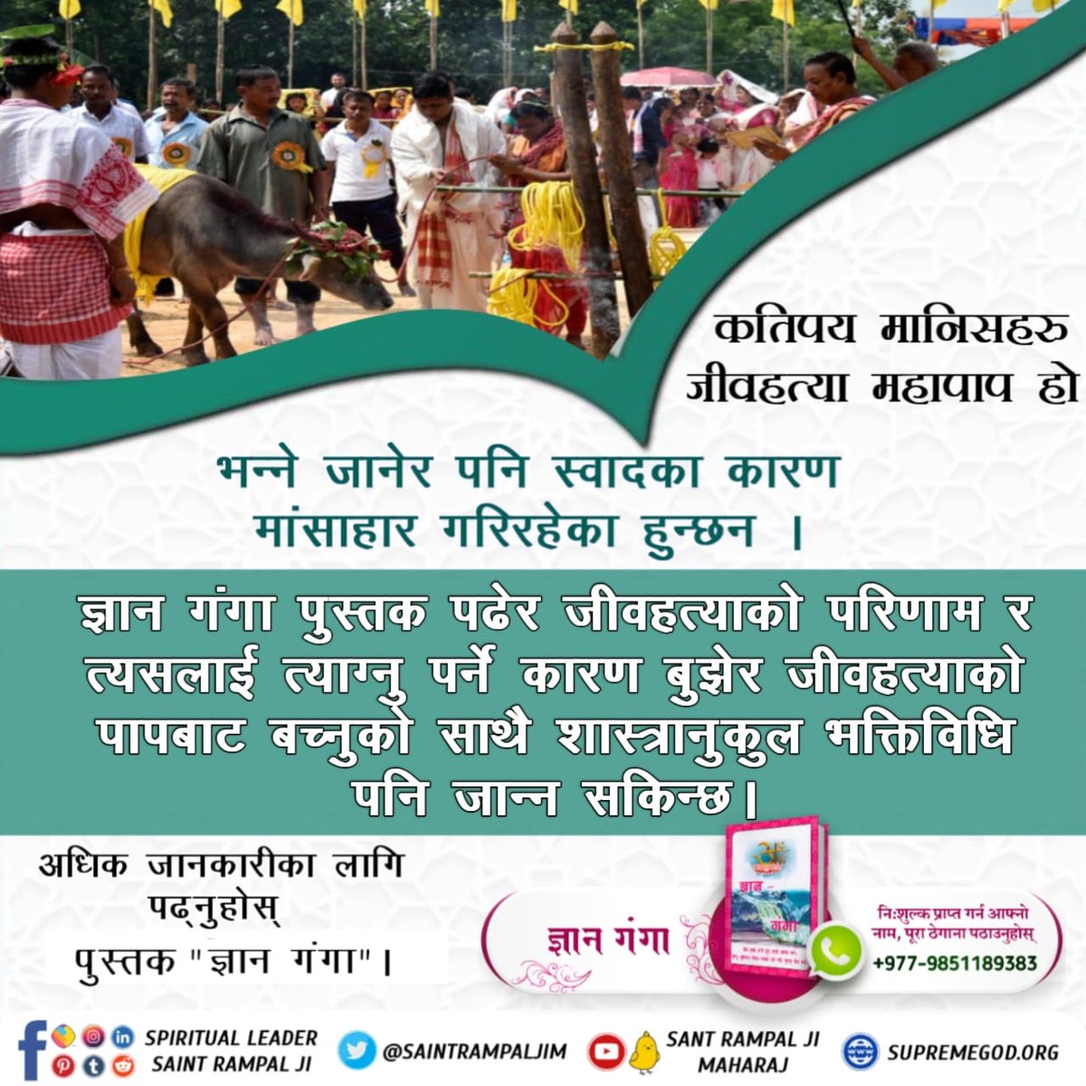 SarojSahDas1's tweet photo. If we cannot give someone life, we have no right to take someone's life. Violent creatures can never be happy.
#बलिप्रथा_बन्द_गरौँ

Save Animals https://t.co/okYwIZ5fWp