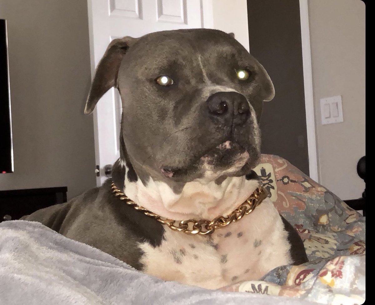 Nelson Rosa tweet media