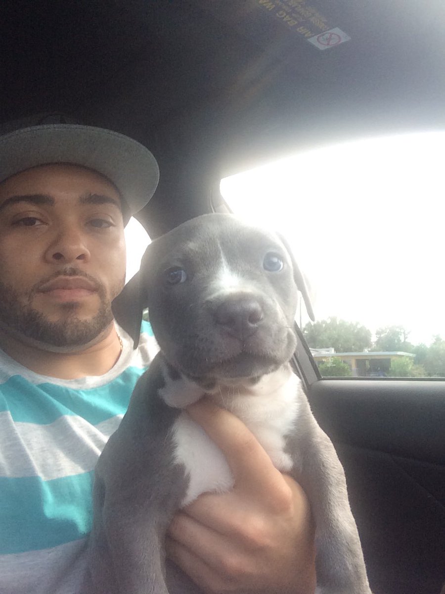 Nelson Rosa tweet media