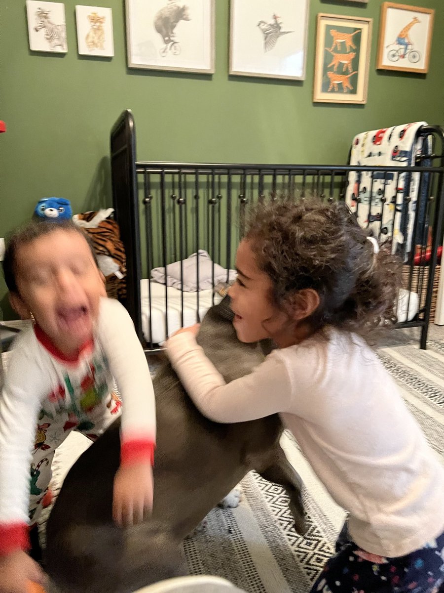 Nelson Rosa tweet media